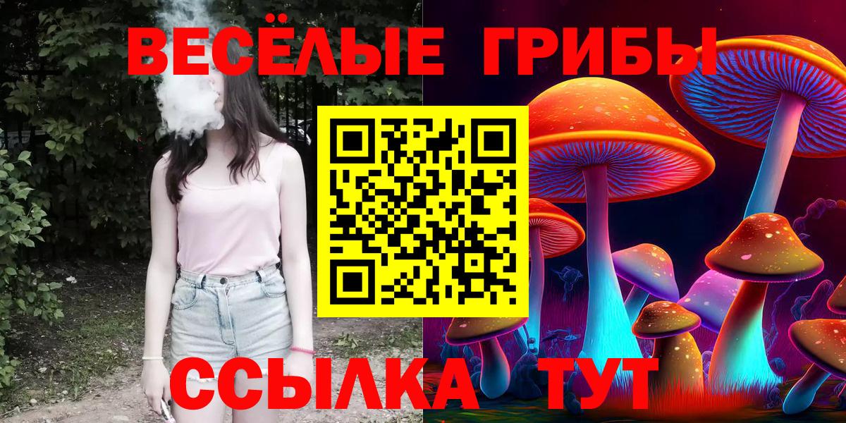 Псилоцибиновые грибы Psilocybe  Вход с VPN  Галлюциногенные грибы MAGIC MUSHROOMS  Дзержинск 